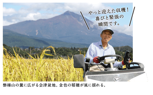 磐梯山の麓に広がる会津盆地。金色の稲穂が風に揺れる。