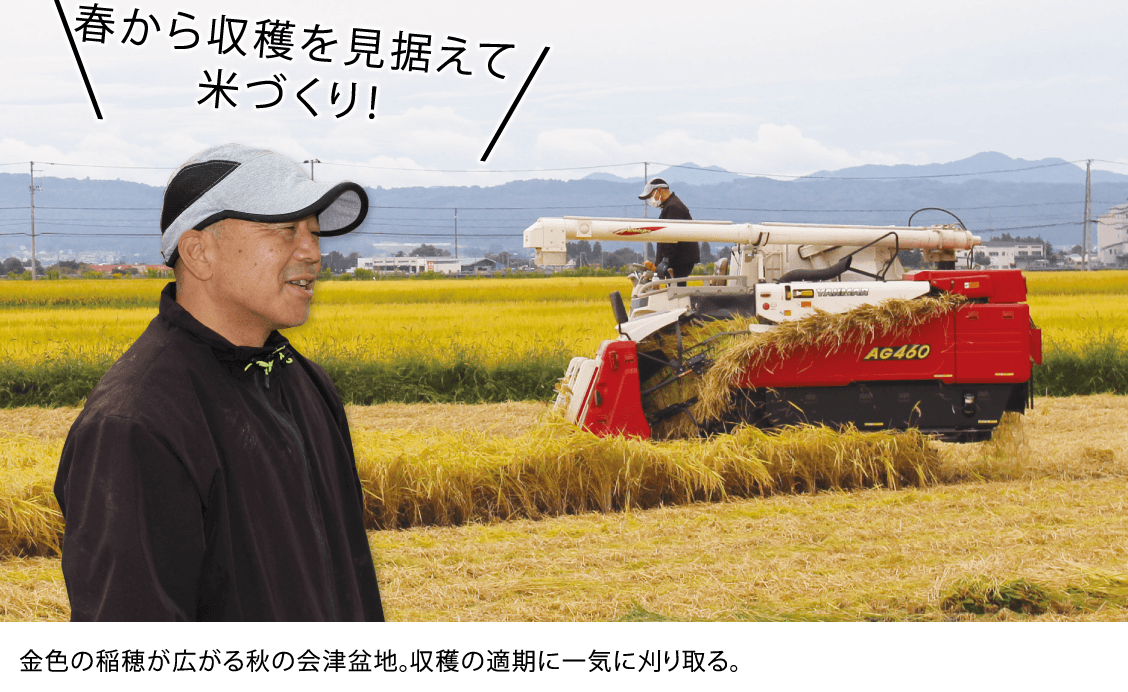 金色の稲穂が広がる秋の会津盆地。収穫の適期に一気に刈り取る。
